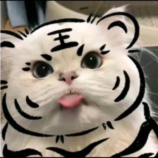 小脑斧