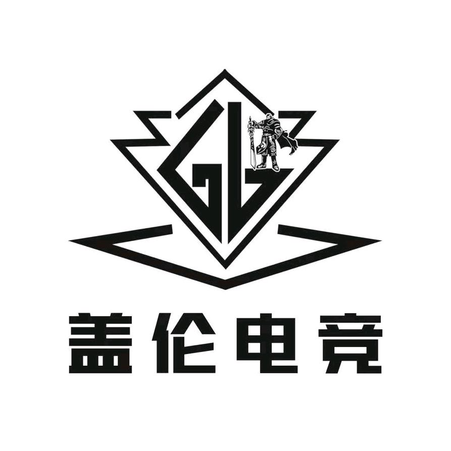 沂南盖伦电竞