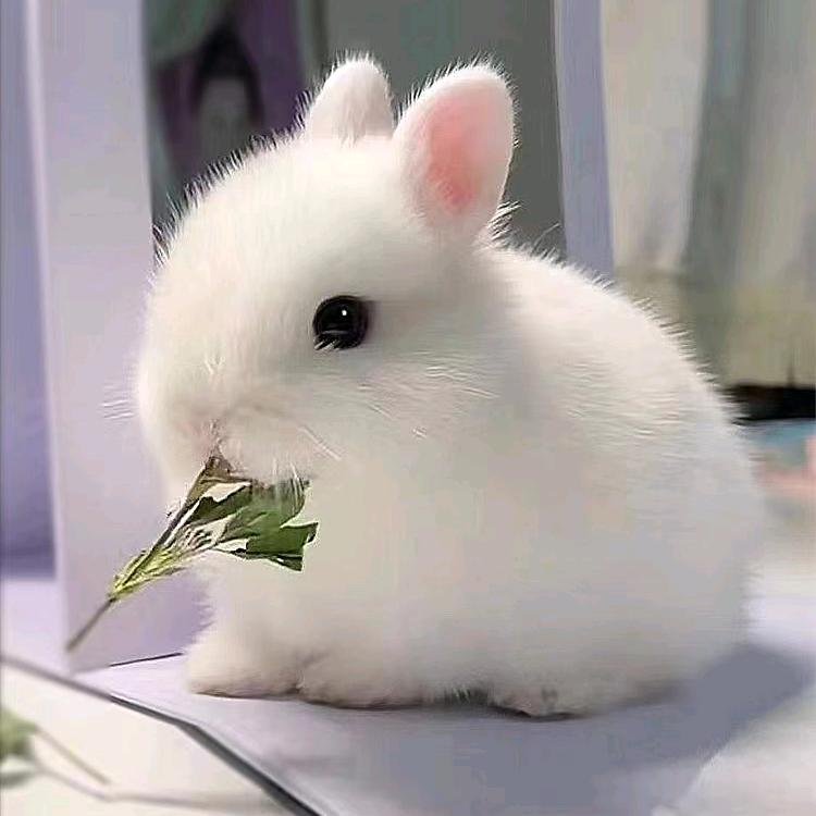 明天你好