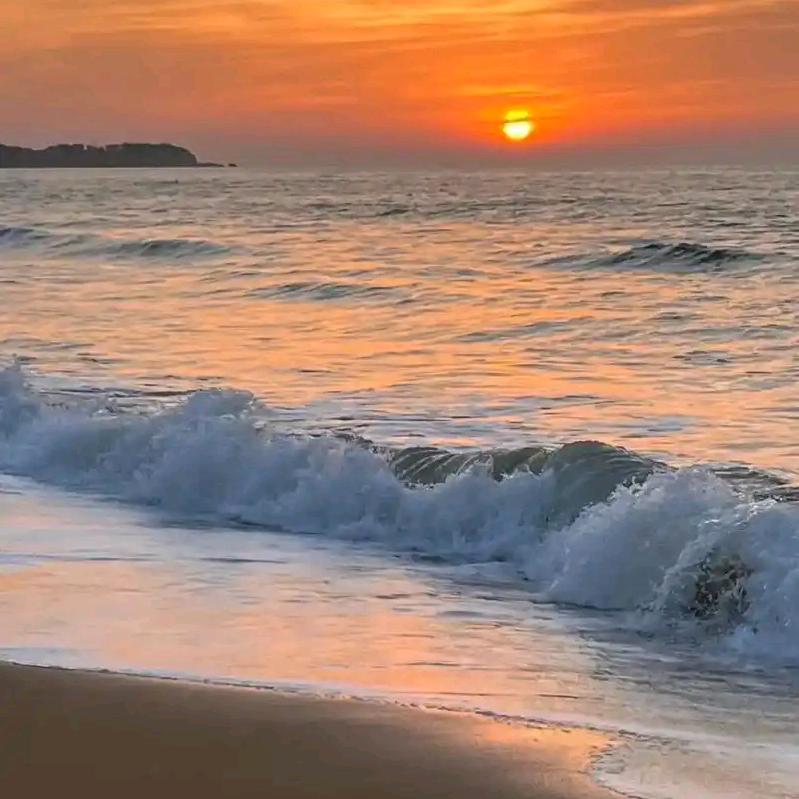 大世界海鲜臻选