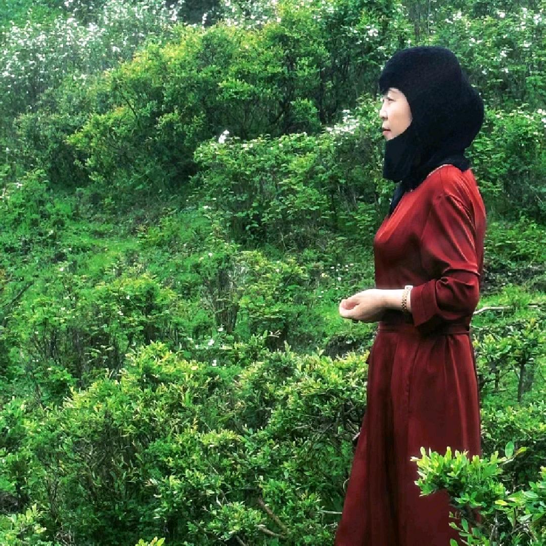 缘起天空的眼泪