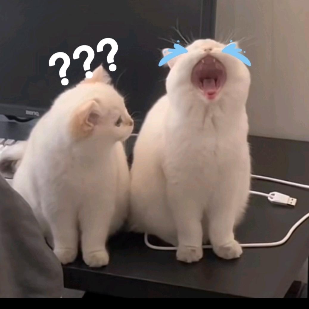 苏15
