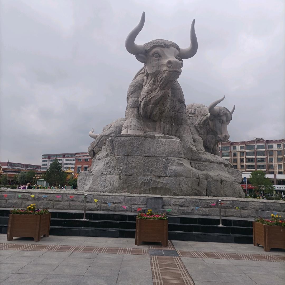 一行情泪