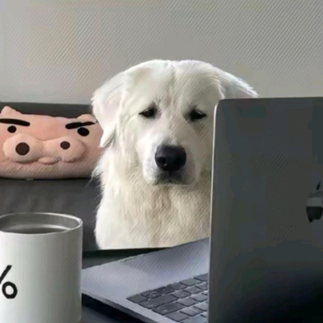 污迁