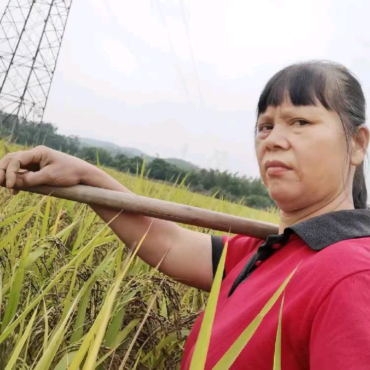 小红姐农村生活