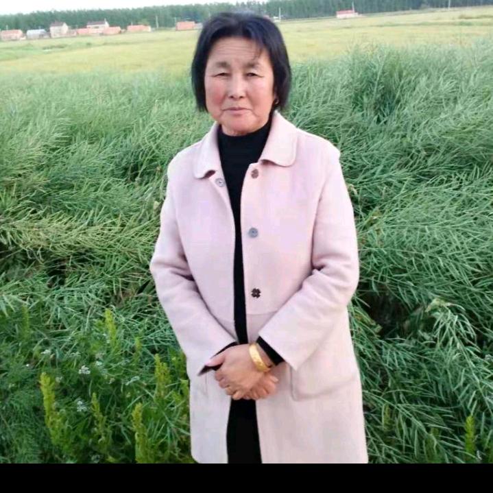 赵三奶