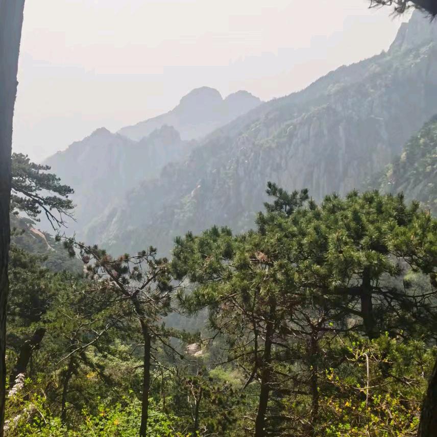 正  ❤️ 正念 🍎