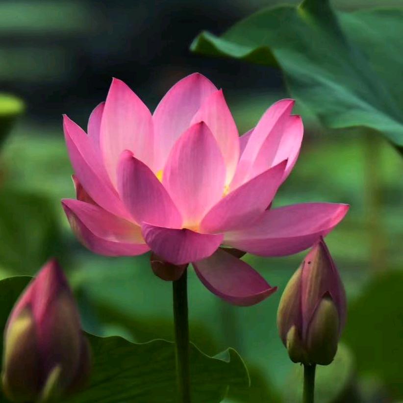 晚秋