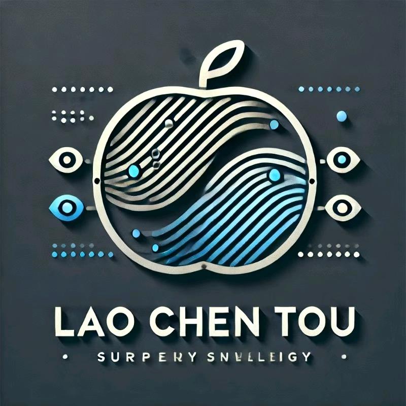 艾莲人弱电运维