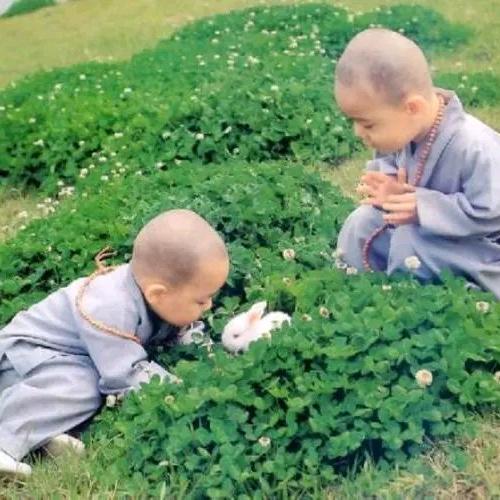 南无阿弥陀佛    张磊🎗