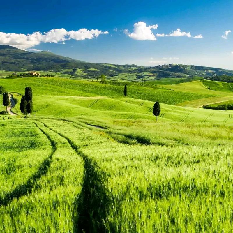 底庙园林机械大全