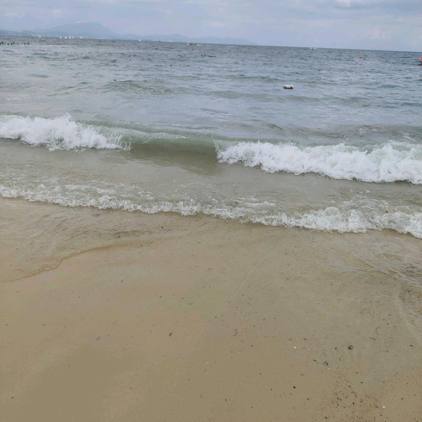 🕊💞ღ向阳᭄而生💞🕊