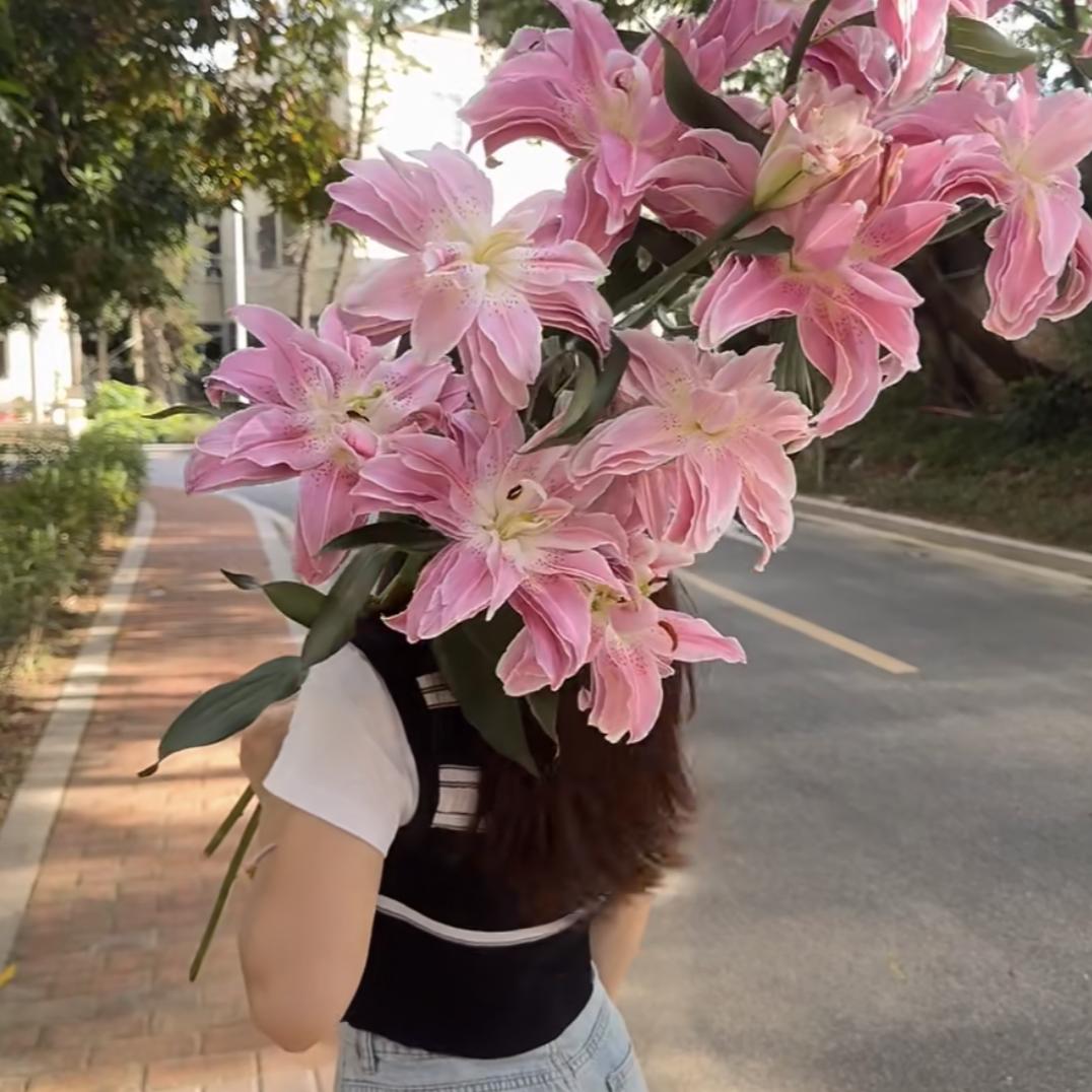 阿雯百合种球基地