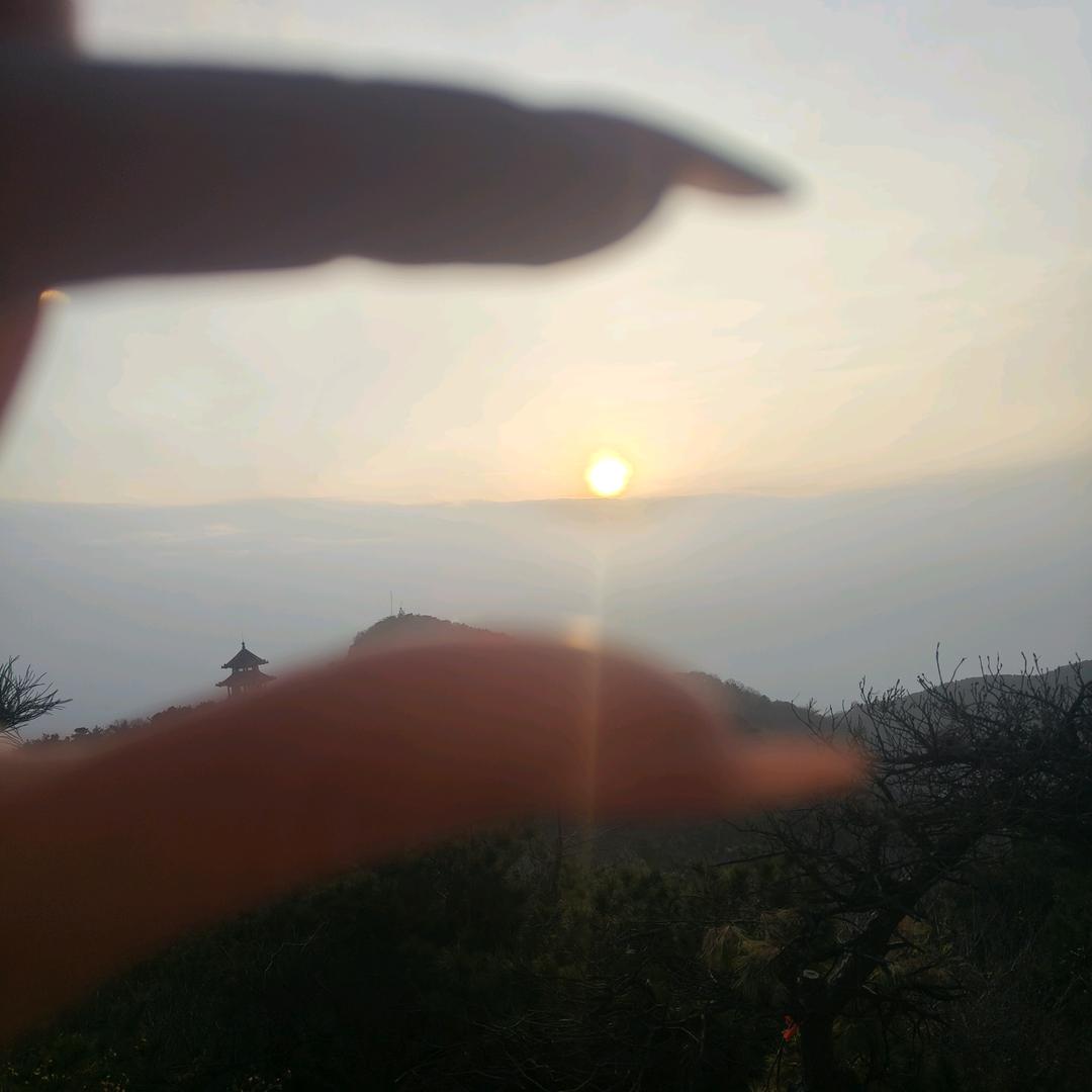 张家三公主
