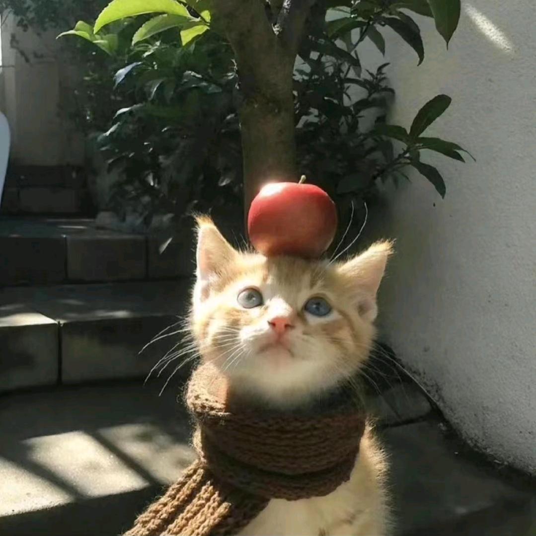 小老鼠🐭