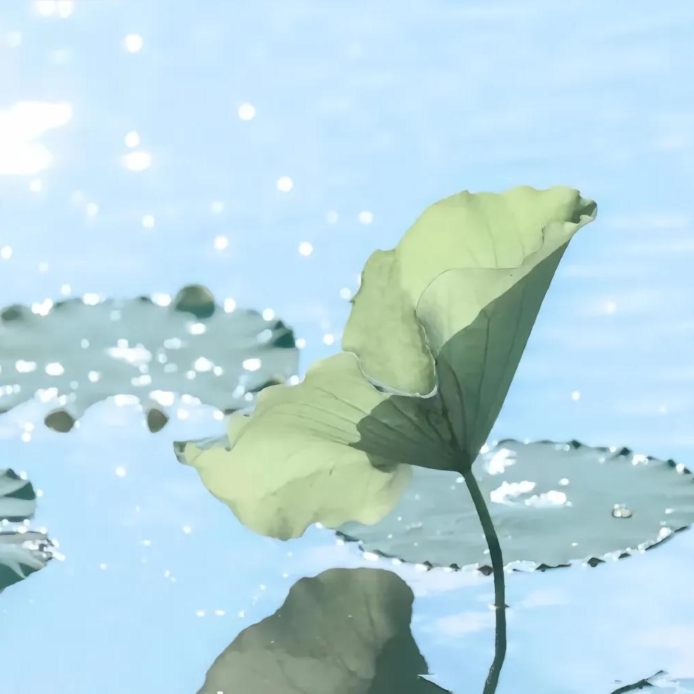 清羽好学