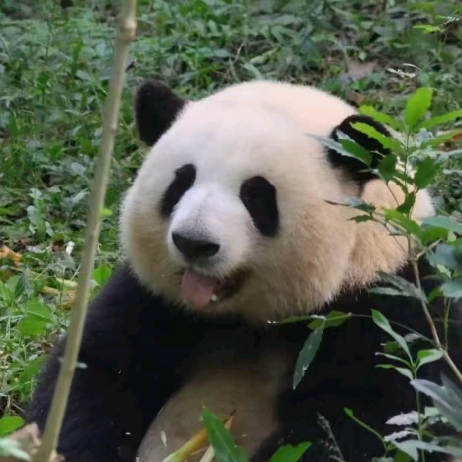 念