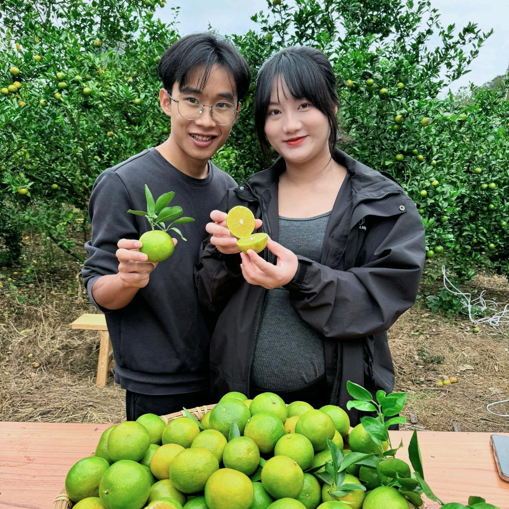 村晓阿锐 锐选
