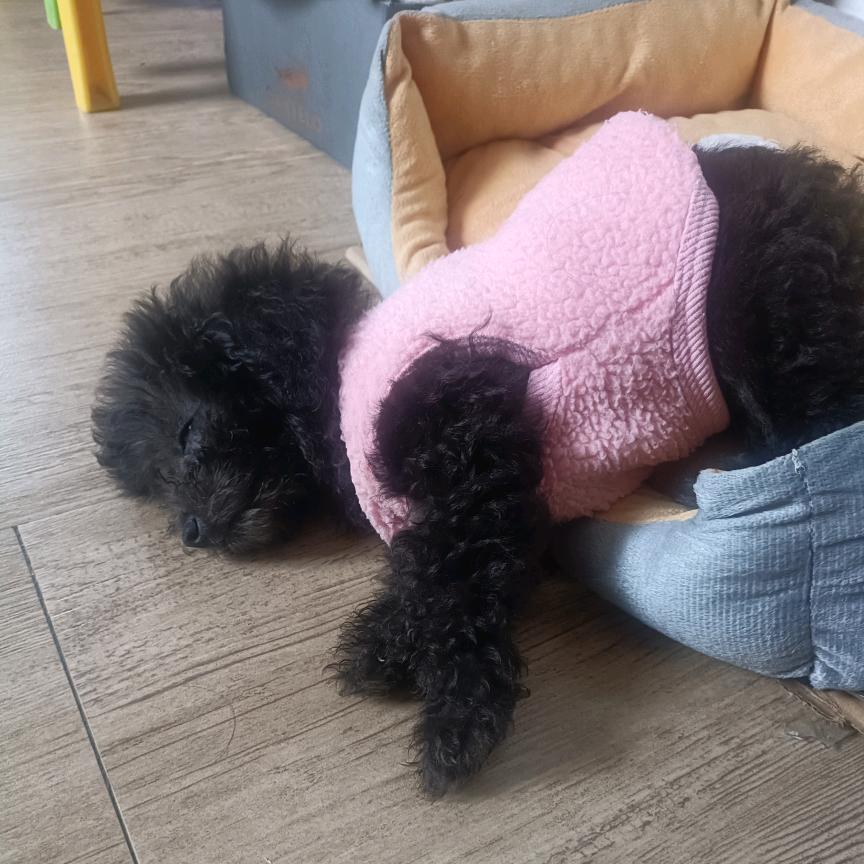 生活给我压力我还你奇迹！