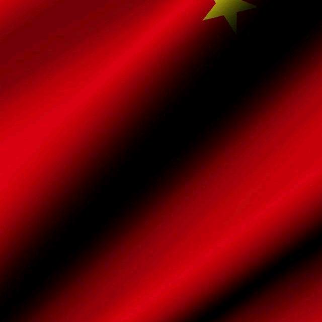 一千个陈枫