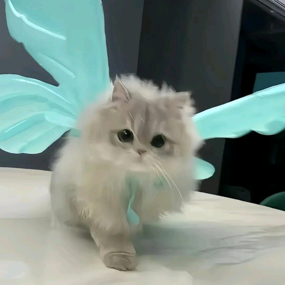 一拳捶死蠢猪