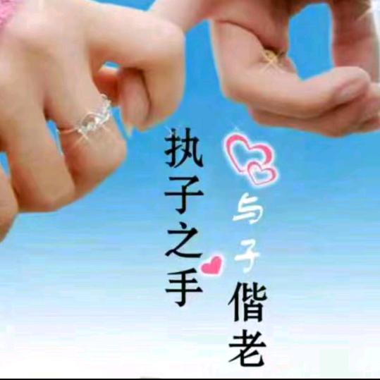 重新再来