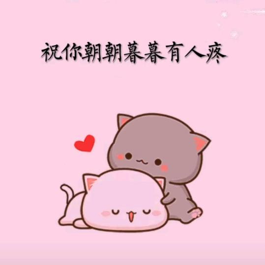 赣C豫见N～敖💕
