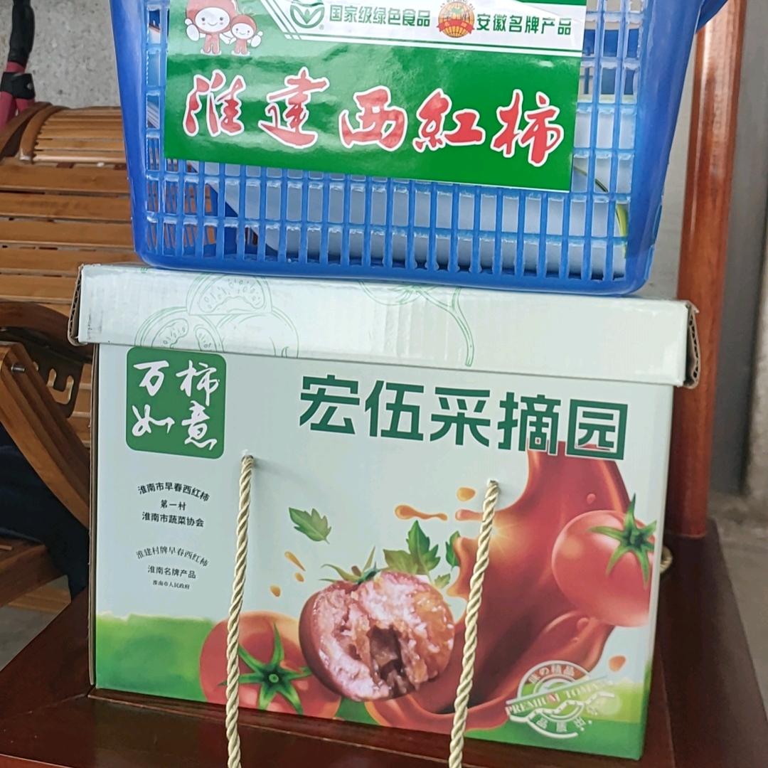 淮建西红柿陈宏伍采摘园