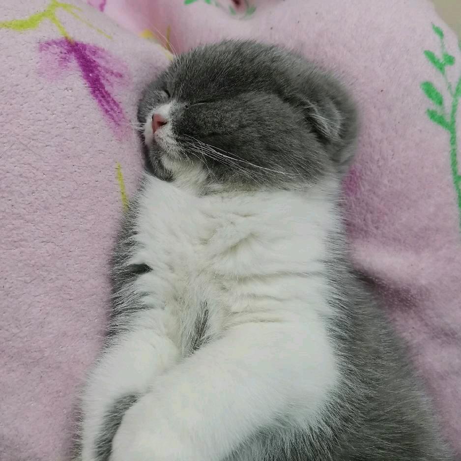 不知道姓甚名谁