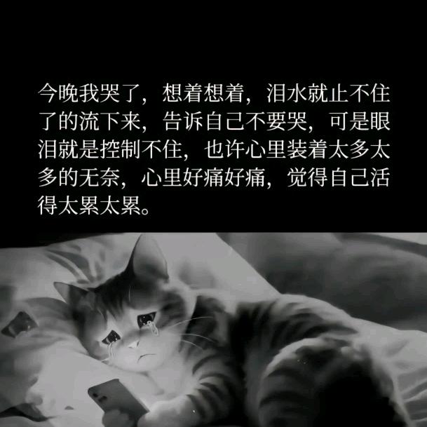 丫头ღ💞ღ沉默᭄ꦿ等待