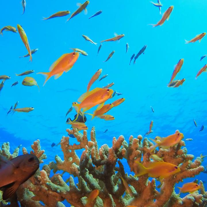 吃喝玩乐在鹿邑4