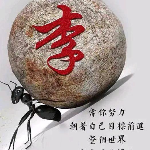 燕赵李*忠