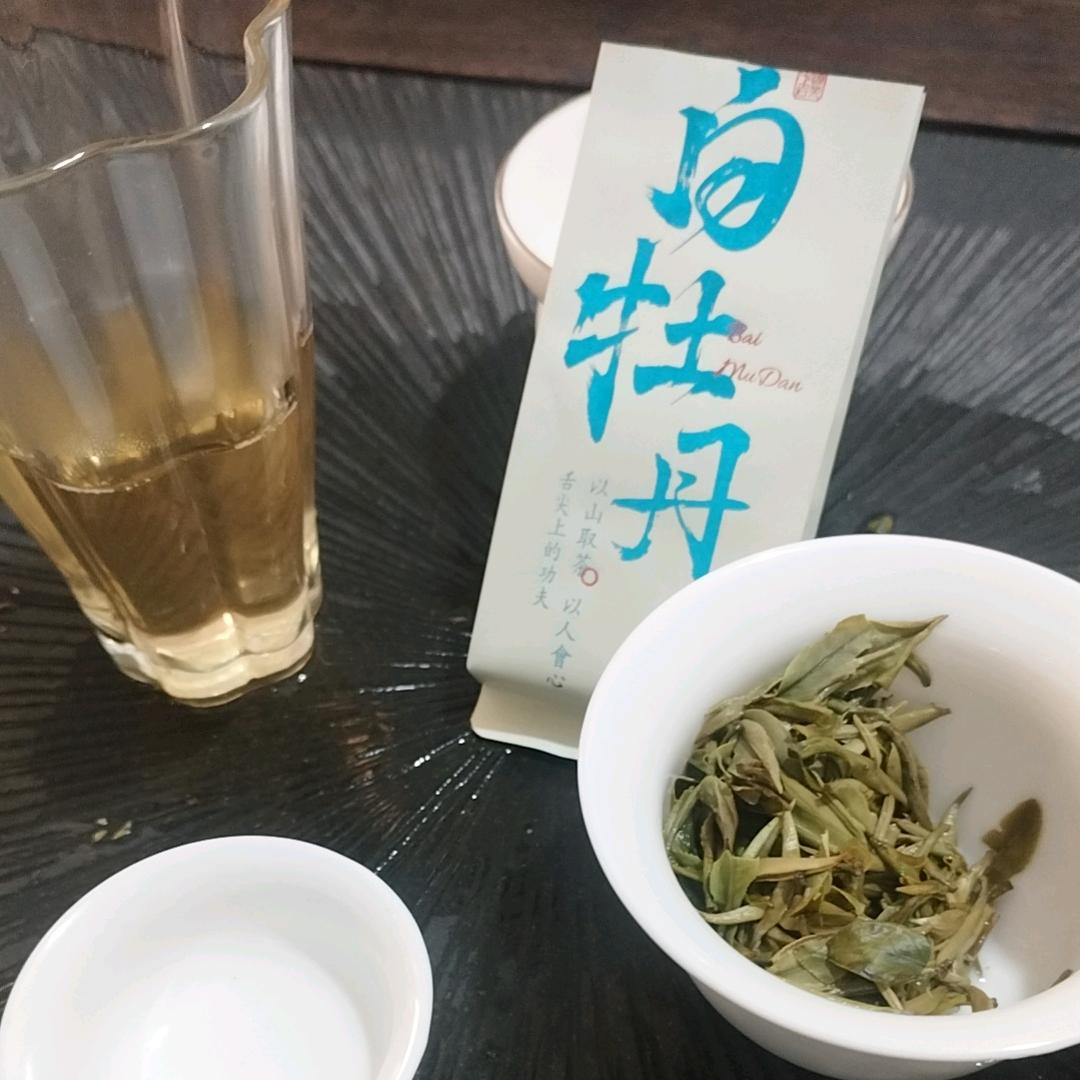 鼎源茶业