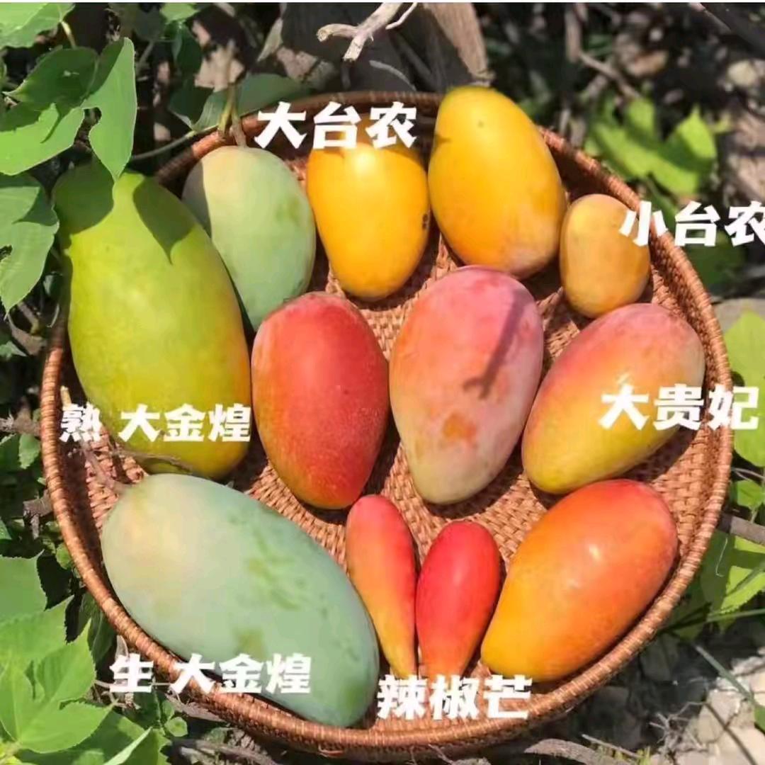罗姐姐52453093743
