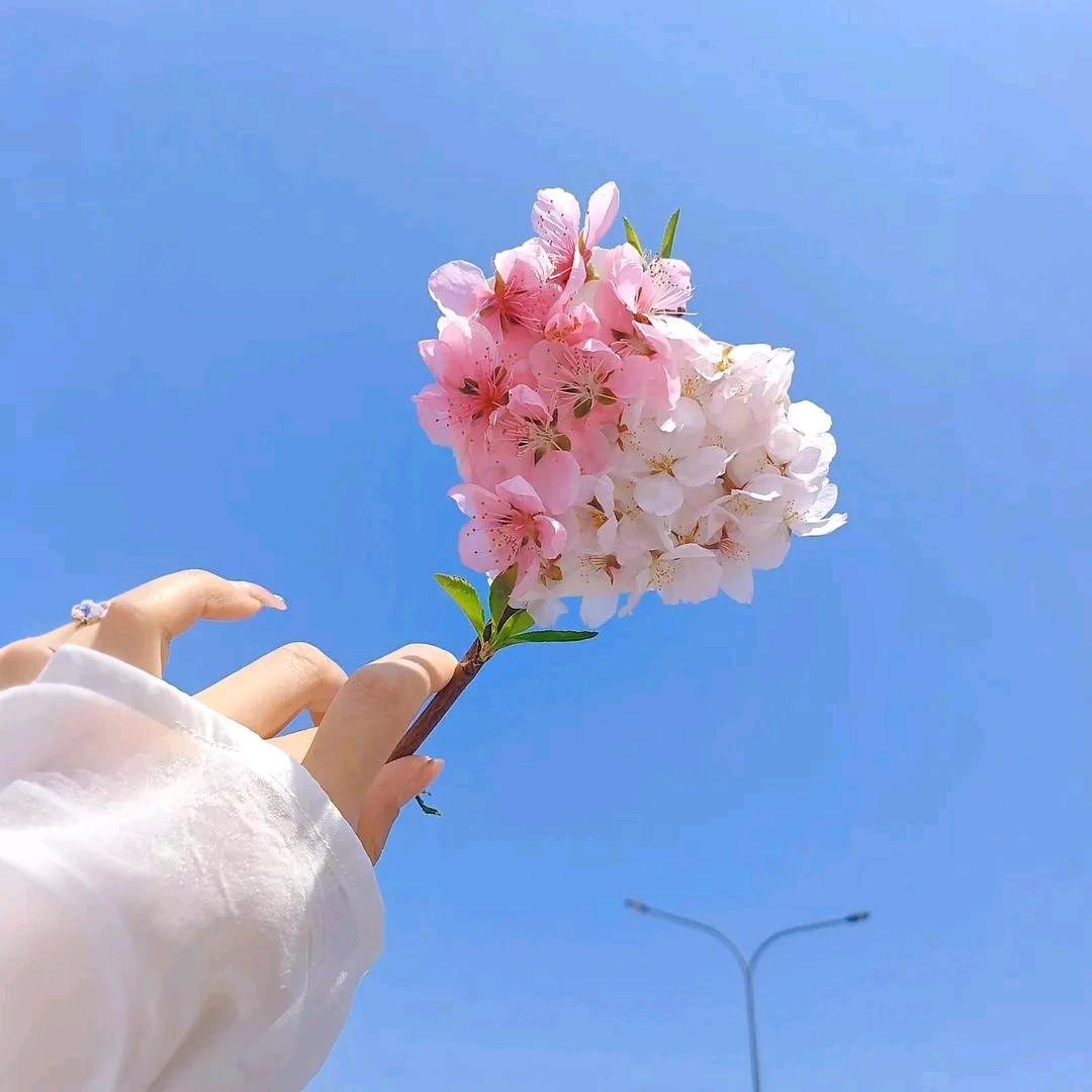 沉默不语