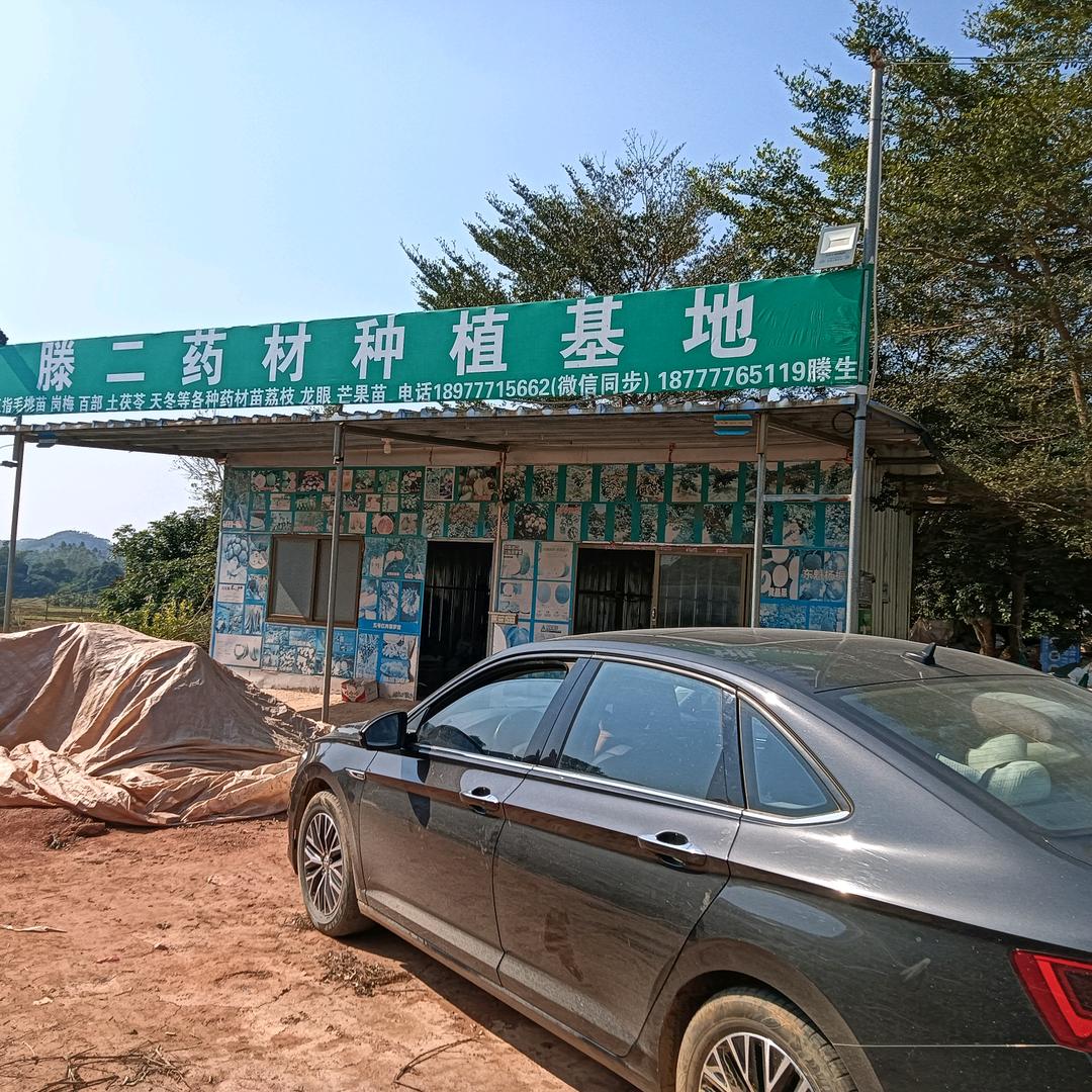 小滕（药材苗培育基地）