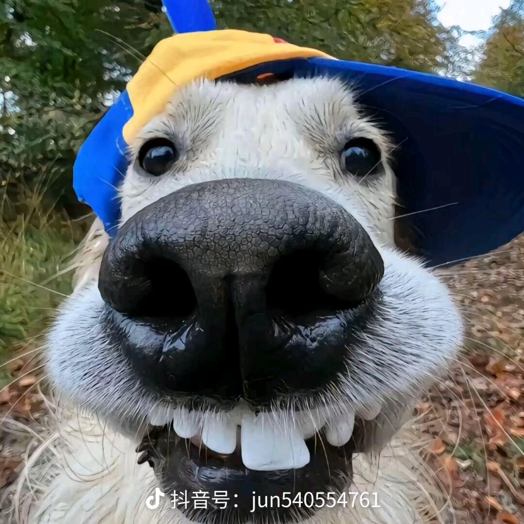 Miss 杨