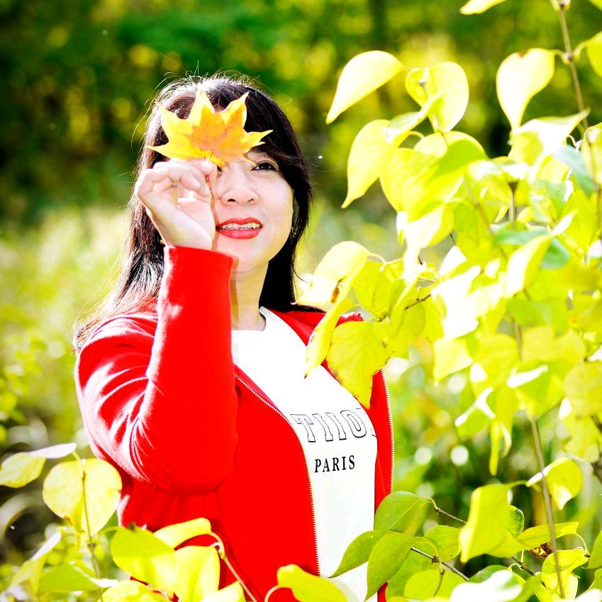 🍁忆惗🍁