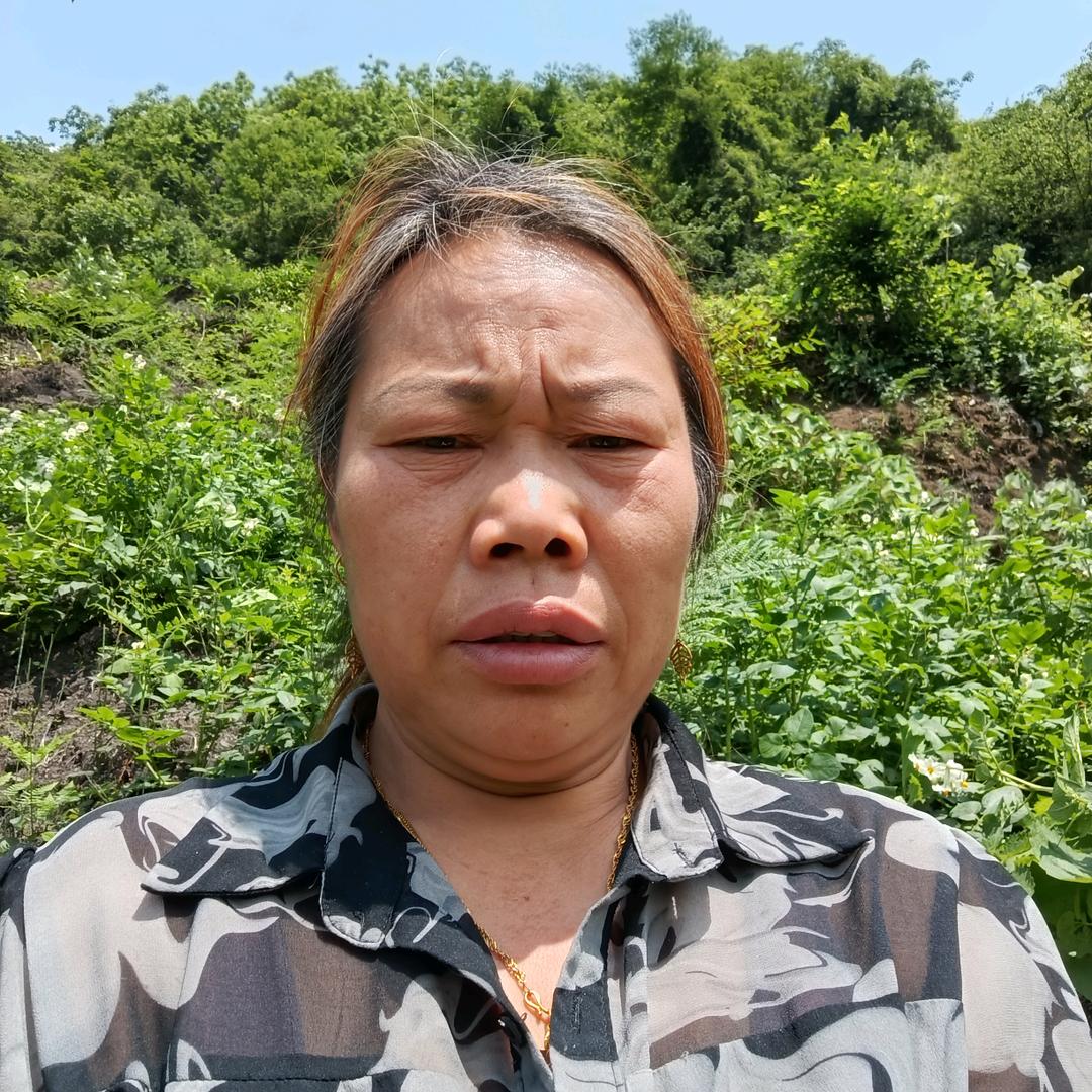 赵发菊创作原声晚上8:10开播。