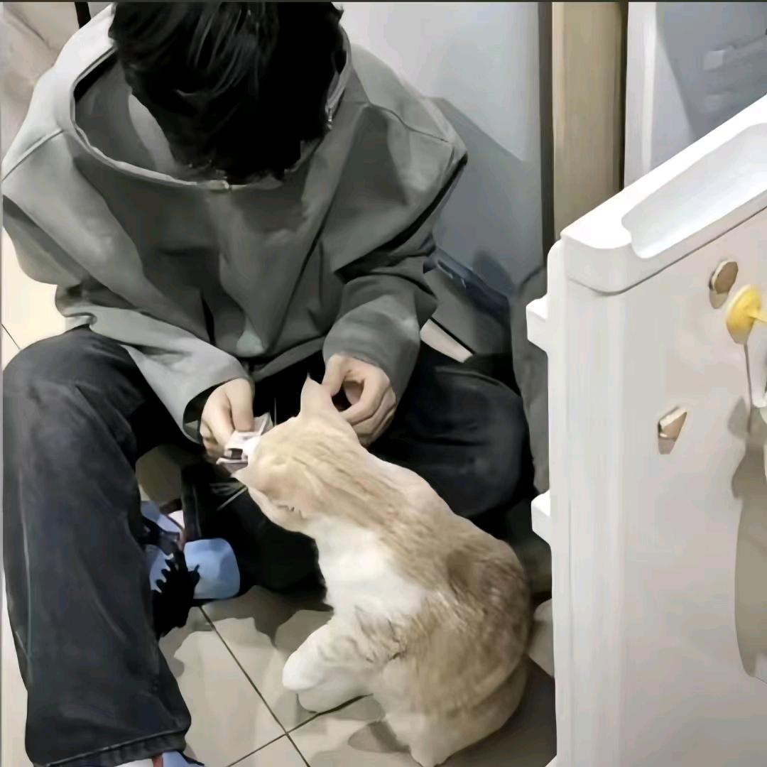 因为装逼被打断了第三条腿头像