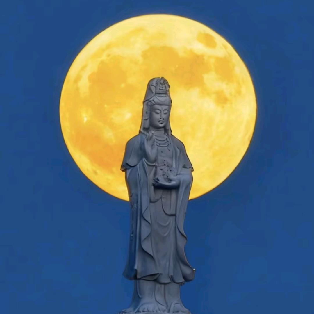 海贼王