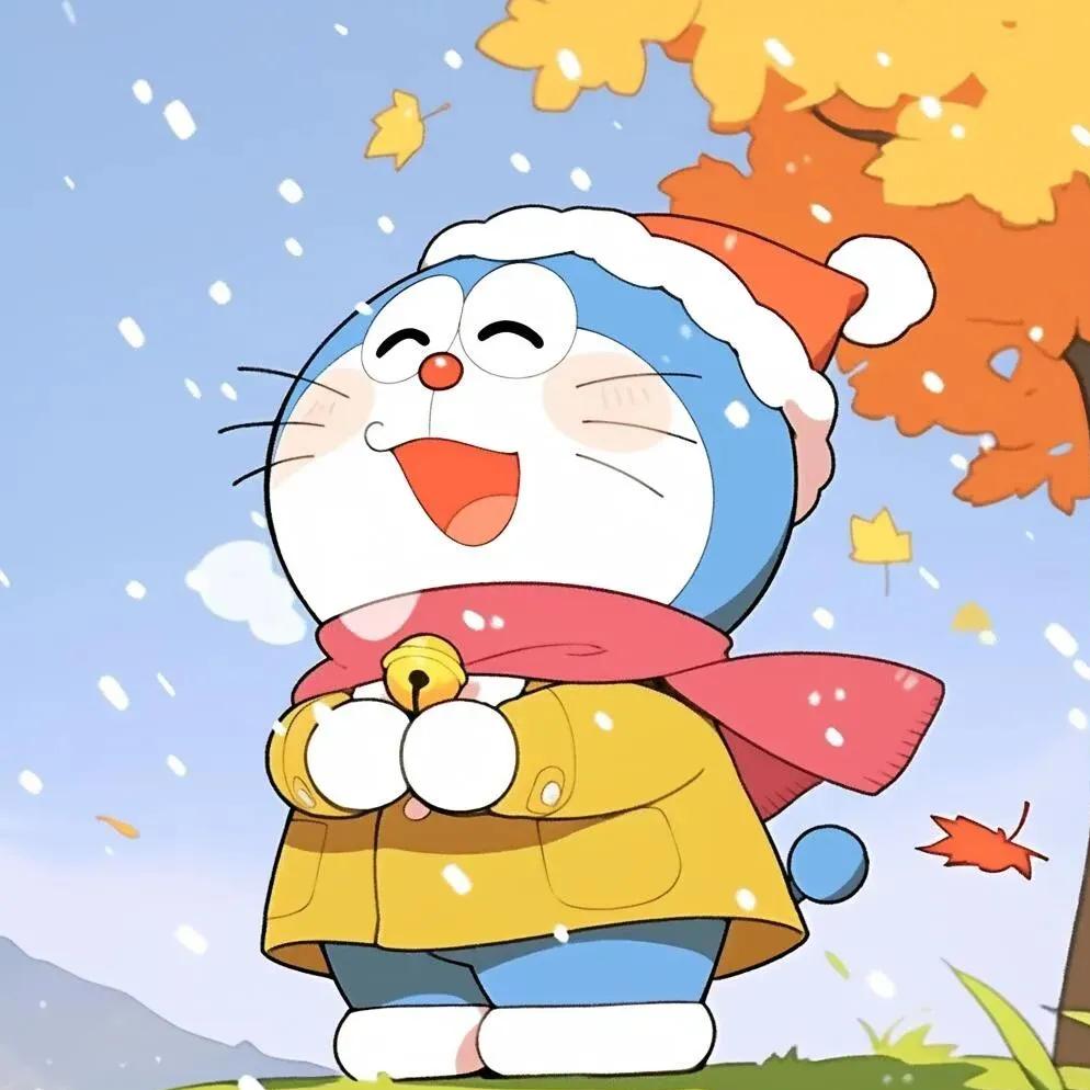 董飞飞呀