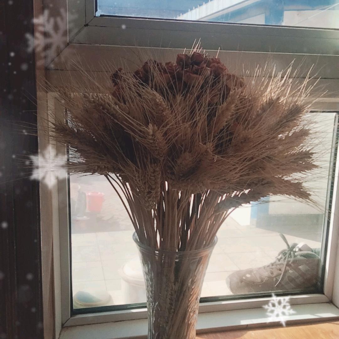 好人一生平安！