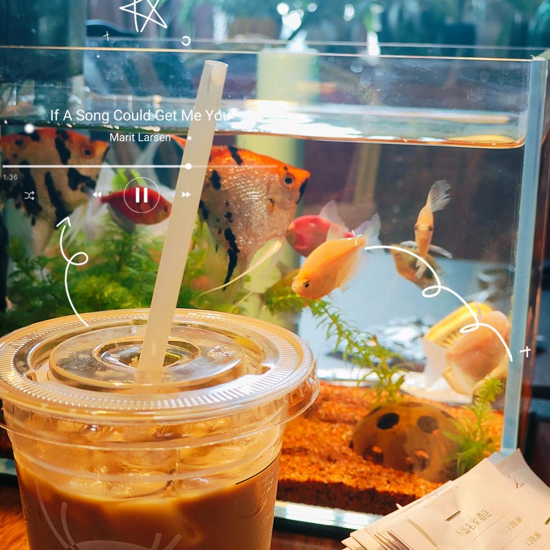 树下好乘梁小姐