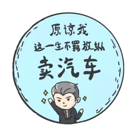 柳州二手车阿维