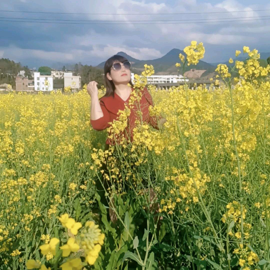 阿香婆酸菜