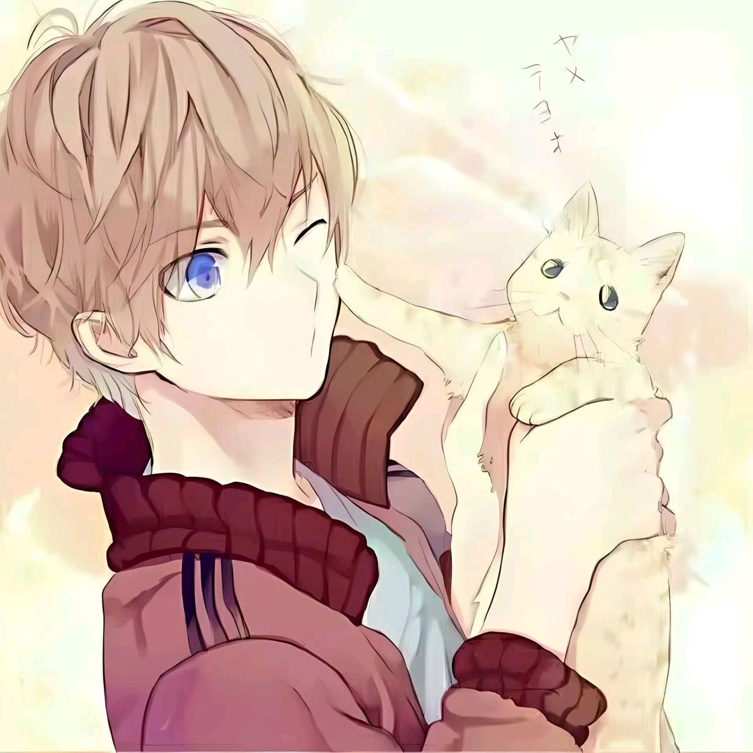 novajin头像