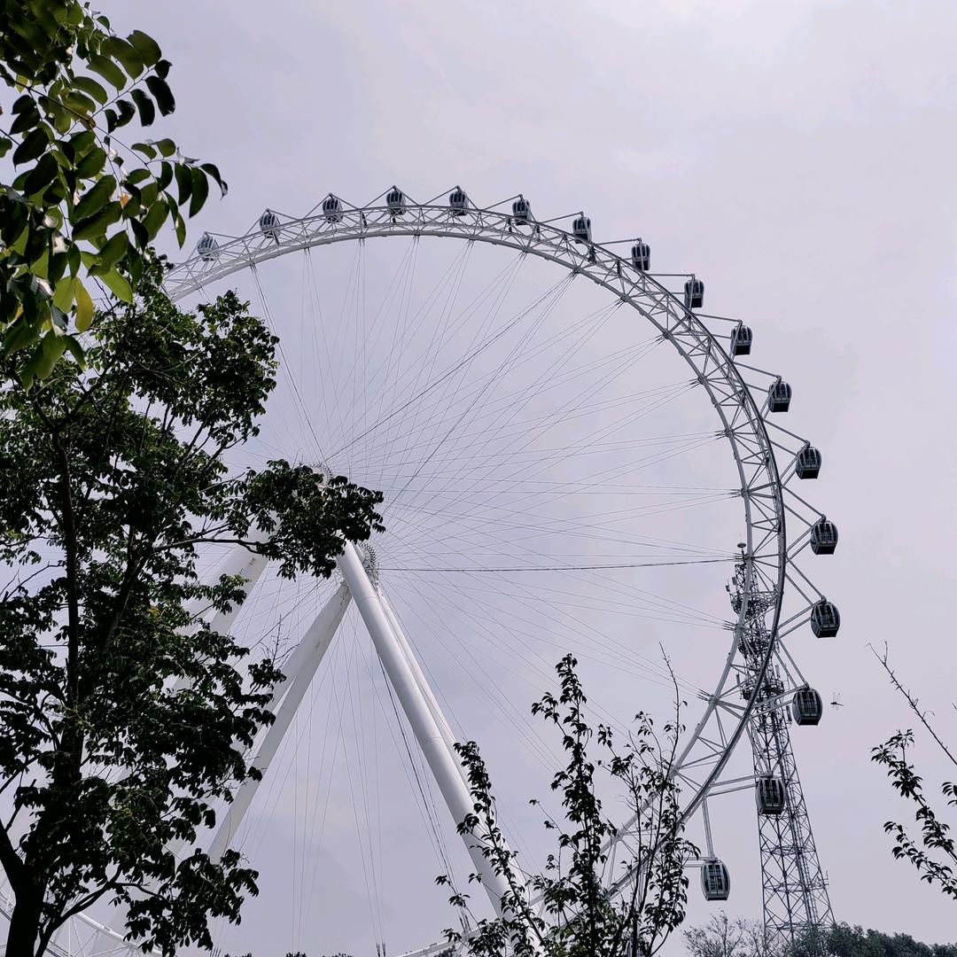 睿睿妈（二胎孕晚期）