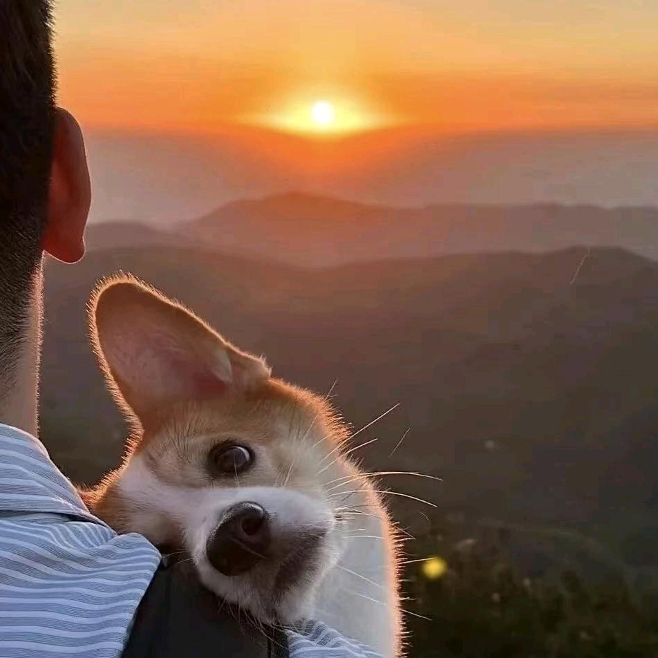 一蓑烟雨任平生