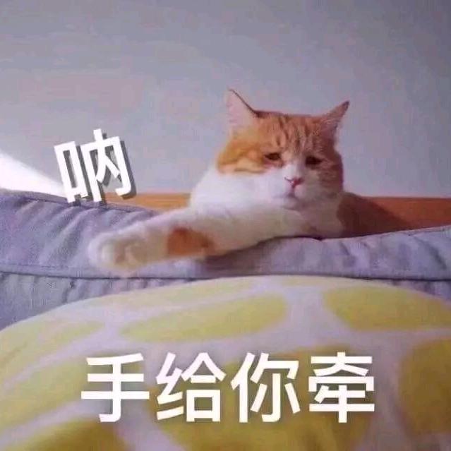 胡萝卜｀须